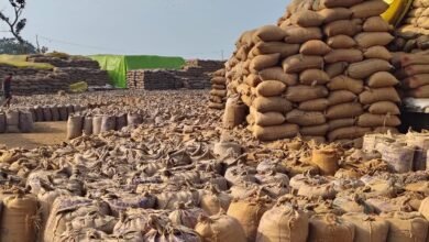Photo of कलेक्टर तूलिका प्रजापति ने कहा गोटाटोला धान खरीदी केंद्र में 439 कट्टा का फर्जी धान खरीदी में जांच के उपरांत होगा कारवाही