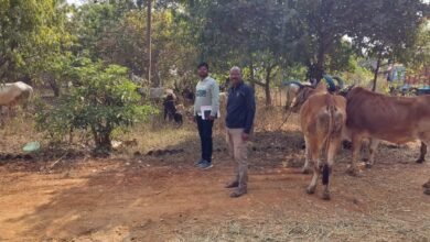 Photo of सुग्घर जन सुरक्षित मोहला अभियान के तहत चिल्हाटी पुलिस की मवेशी तस्करों पर बड़ी कार्यवाही।